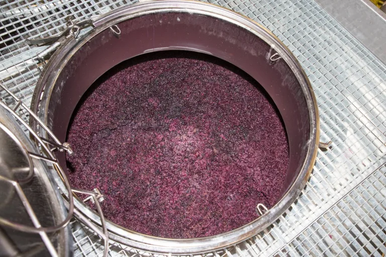 The must is placed in vats where fermentation begins, transforming juice into wine.