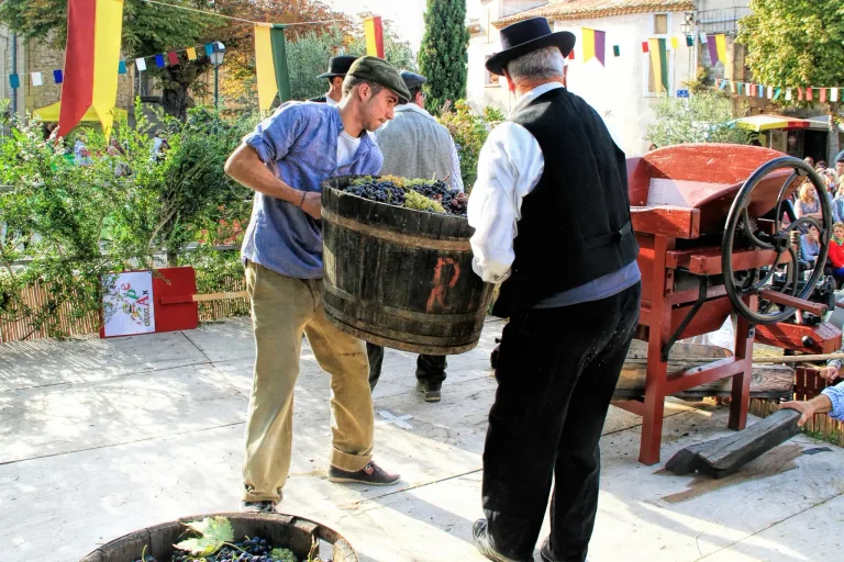 傳統釀酒過程中,兩名男子抬著一桶剛採收的葡萄,走向手動葡萄破碎機。