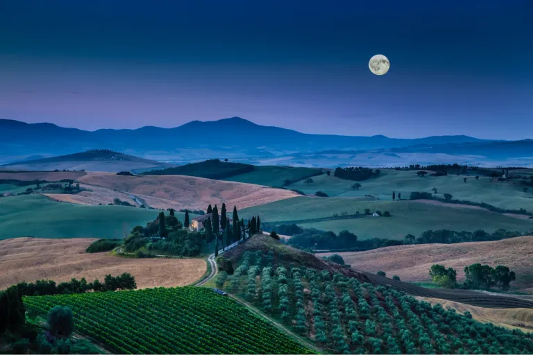 Biodynamic wine comes from vineyards farmed as self-sustaining ecosystems, guided by natural rhythms and herbal preparations. This holistic approach aims to enhance soil vitality and produce expressive, energetic wines.