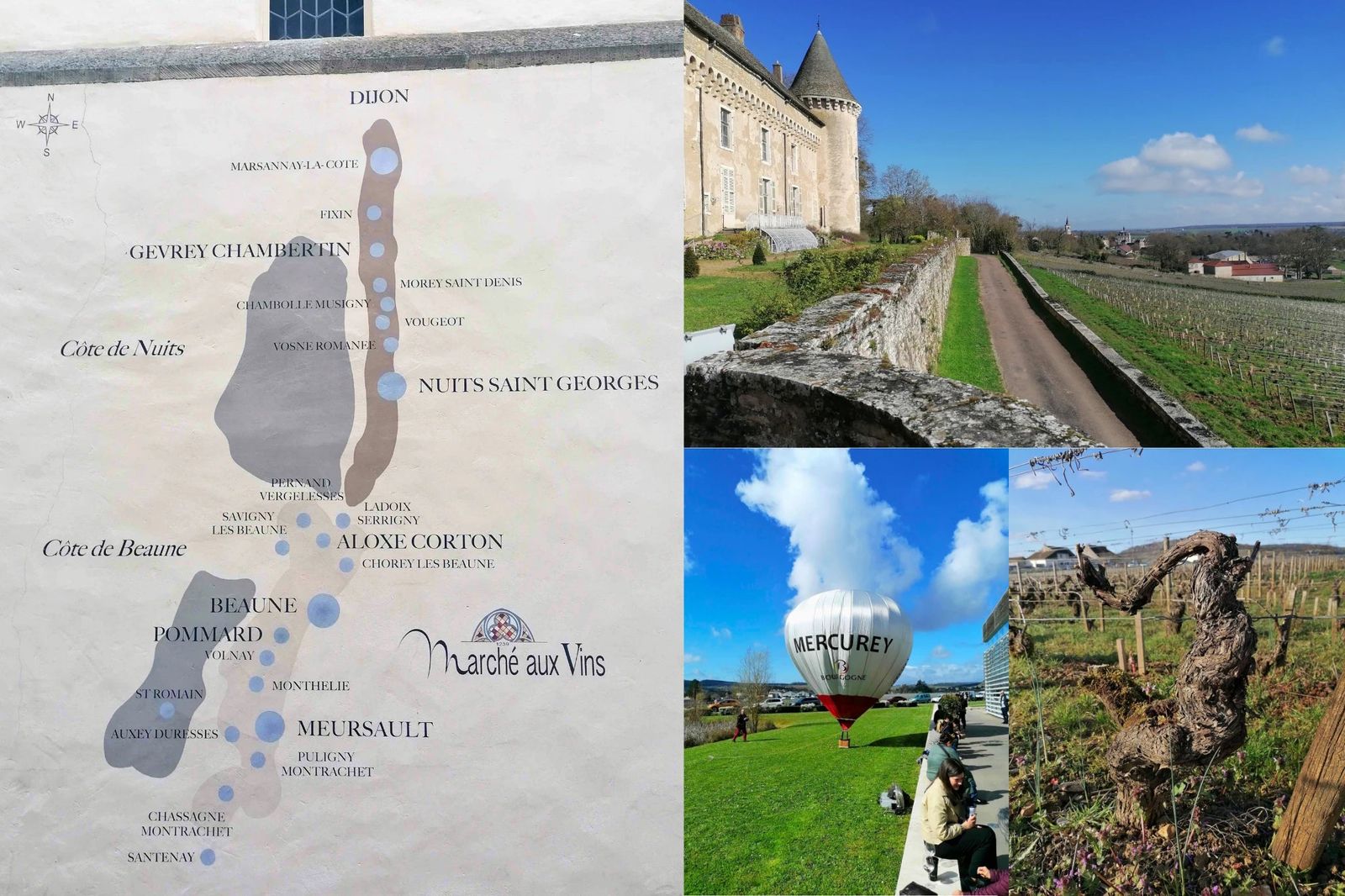 Grands Jours de Bourgogneは、イベントを越えたブルゴーニュの風景を巡る旅。各畑がクリマの緻密さと、世界的な名声を支える多様性を映します。