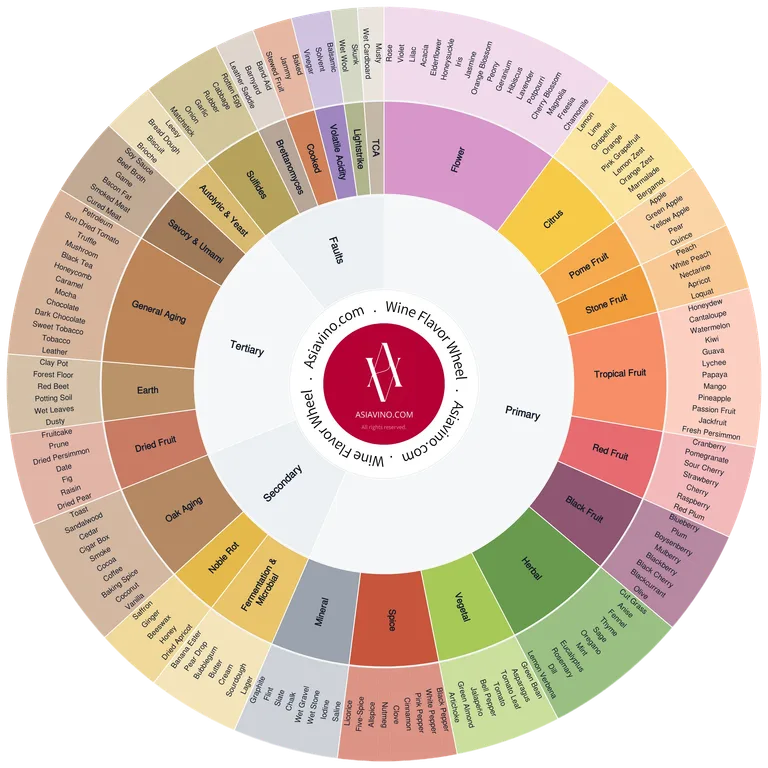 The Wine Flavour Wheel illustrates the main families of aromas and flavours found in wine. Begin from the centre to identify a general category, then move outward to explore more specific notes. It’s a visual guide to help train your palate and describe wines with greater precision.