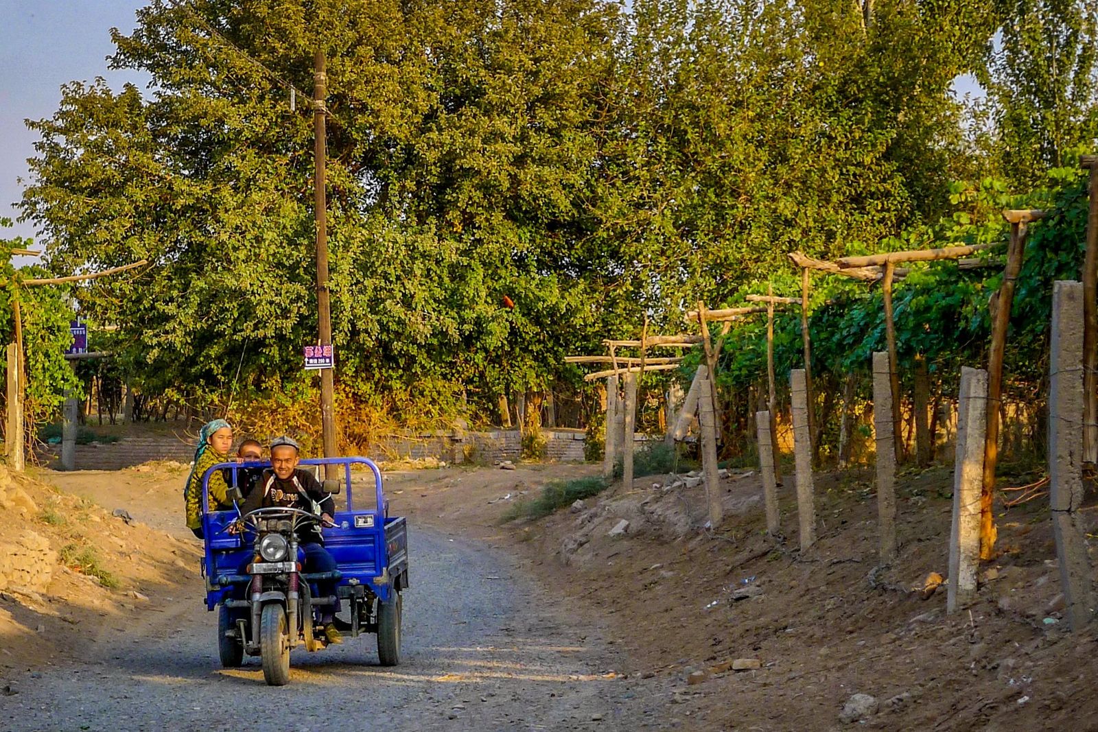 新疆吐魯番葡萄園，乾旱條件與灌溉支持中國西部的葡萄栽培。