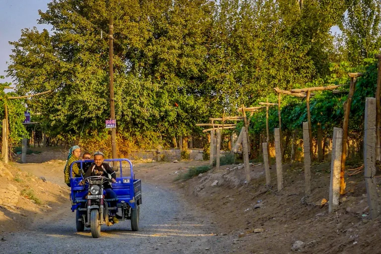 Vineyards in Turpan, Xinjiang, where arid conditions and irrigation support viticulture in western China.