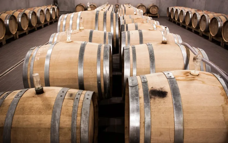 Vegan wine is clarified without animal-derived fining agents. Producers use plant-based or mineral alternatives, or allow the wine to settle naturally, keeping the entire process free of animal products.