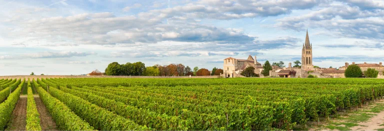 In the vineyards of Saint-Émilion and across Bordeaux, blending grape varieties such as Cabernet Sauvignon, Merlot, and Cabernet Franc creates wines of balance, complexity, and character.
