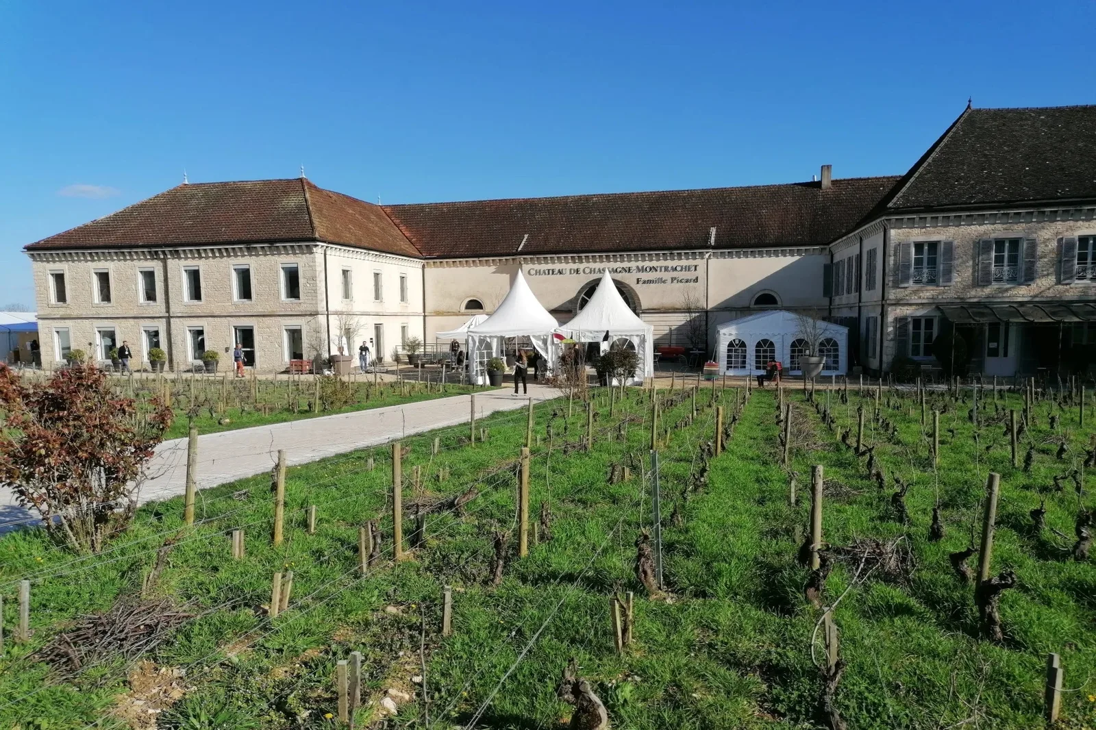 Grands Jours de Bourgogne 2026:クリマと試飲から読み解く市場