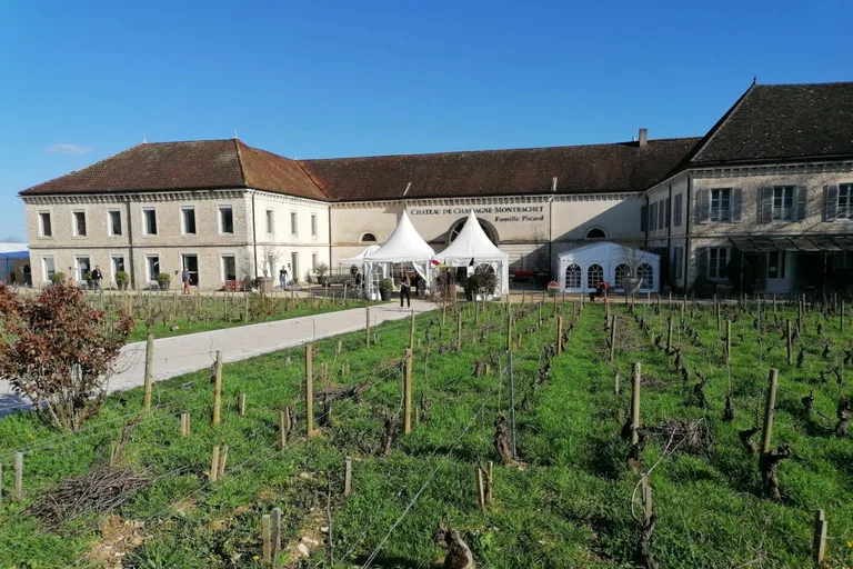 Grands Jours de Bourgogne 2026: Climats, Tastings, and Market Insights