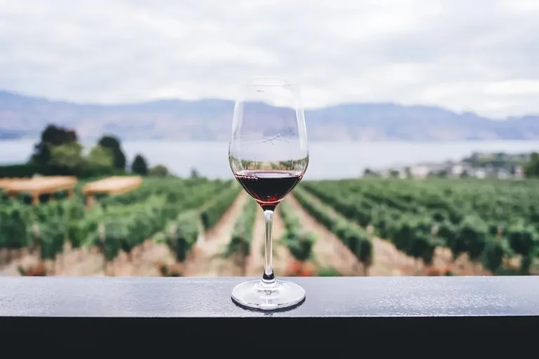 What Is Wine: Exploring the Art of Winemaking