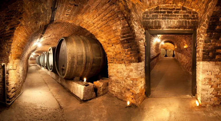 A long brick-vaulted cellar lined with large oak casks