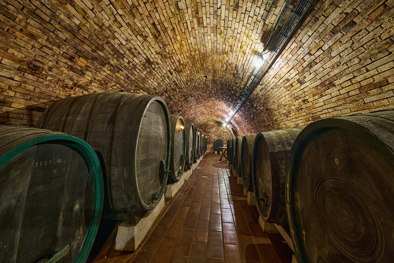 A long brick-vaulted cellar lined with large oak casks