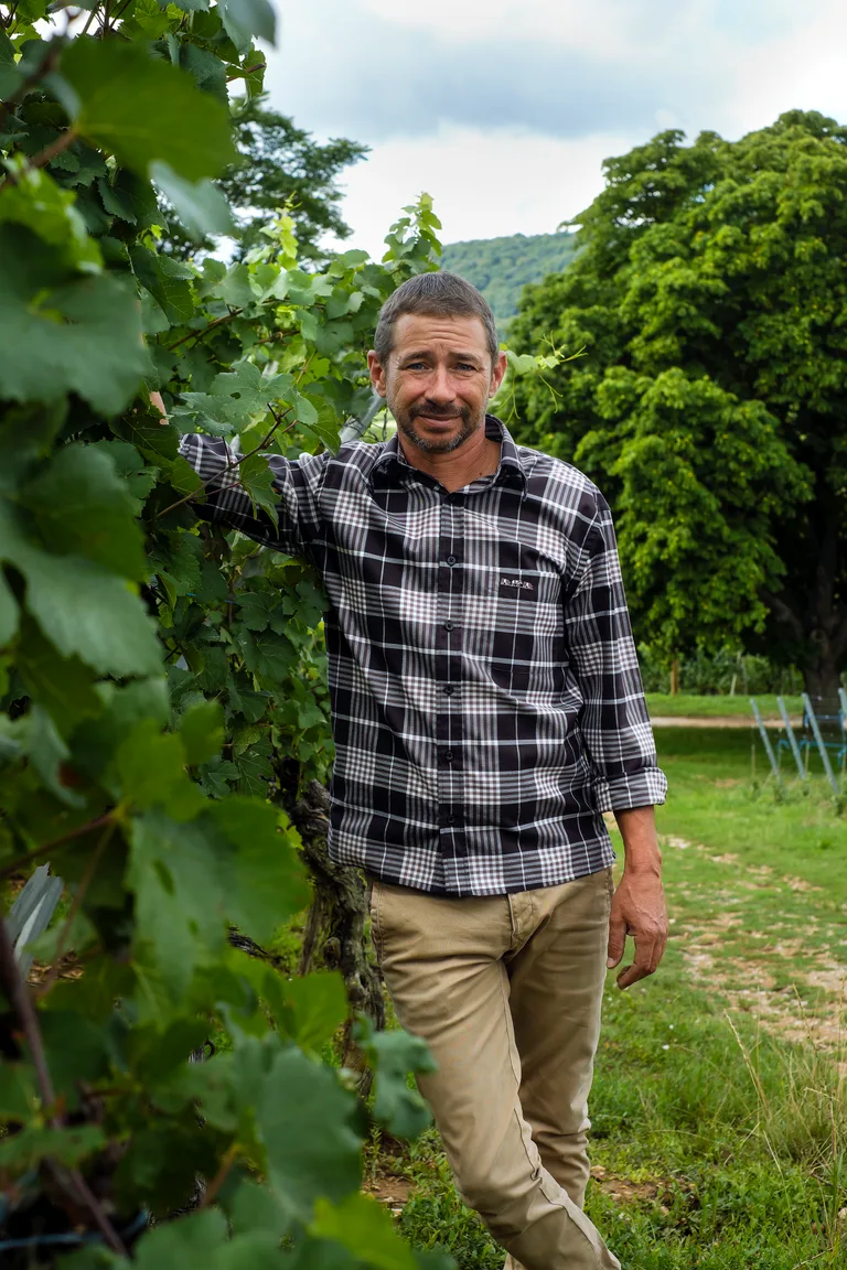 A Lucien Albrecht grower smiling beside the vines.