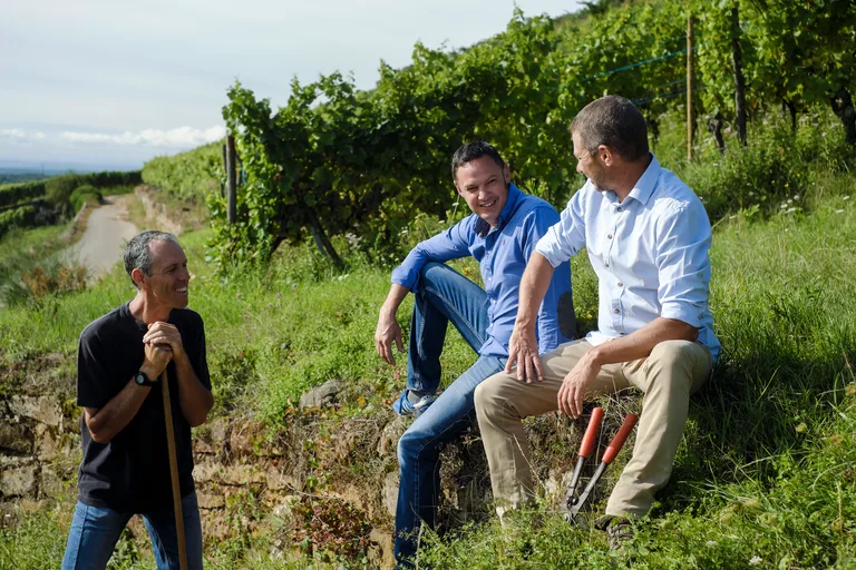 Lucien Albrecht growers talking in the vineyard.