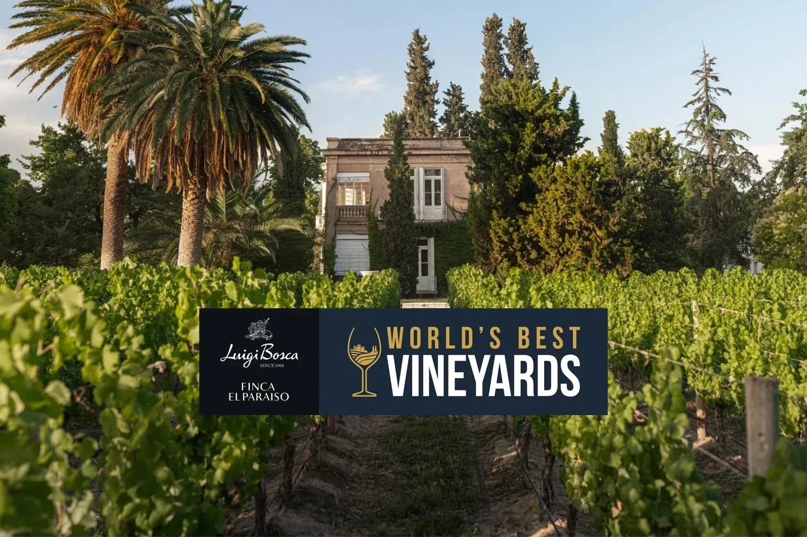 Luigi BoscaのFinca El Paraíso、World’s Best Vineyards 2025にランクイン