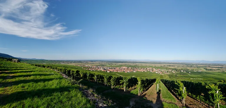 Moltès