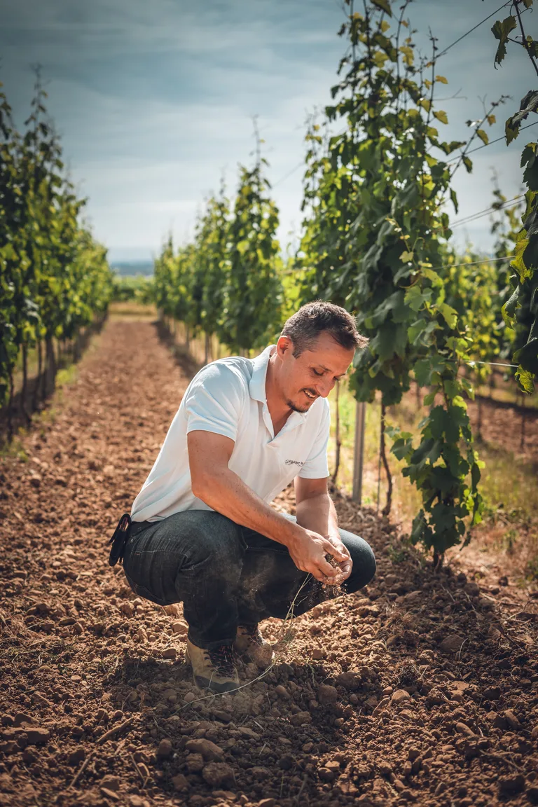A smiling Wolfberger grower holding a handful of vineyard soil.