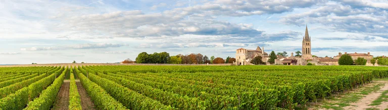 A walled French vineyard and its old stone abbey under a summer sky