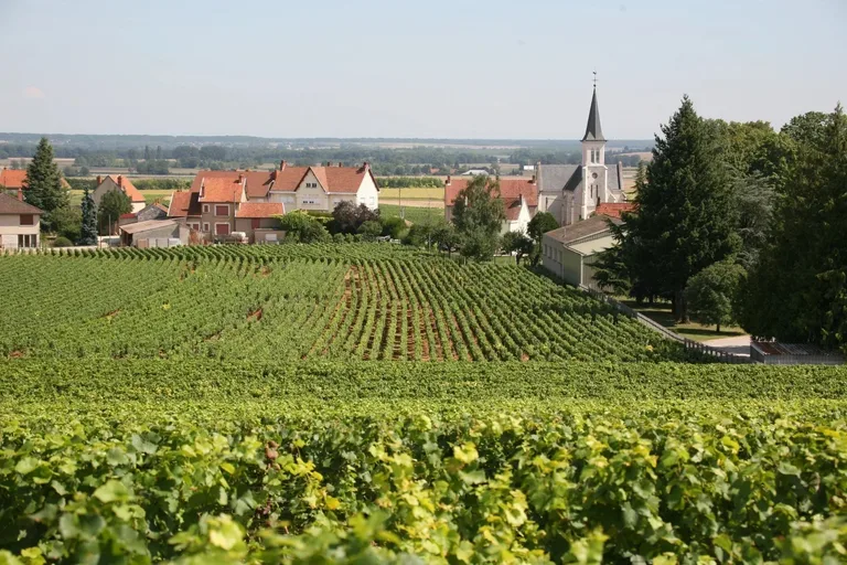 China Officially Recognises 70 New Bourgogne PDOs Following President Macron's Visit