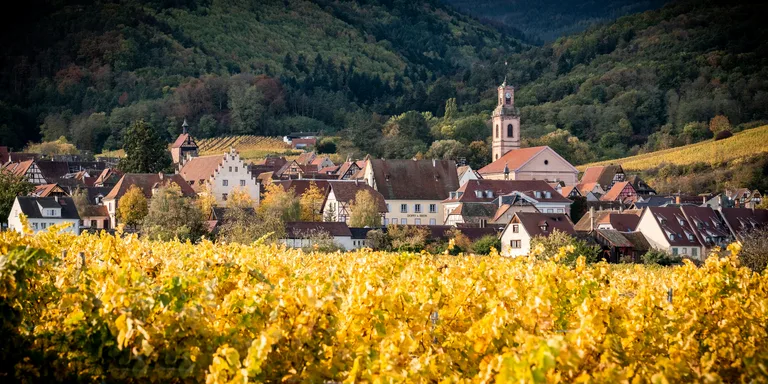 An Alsace wine village below wooded hills, its vines gold in autumn
