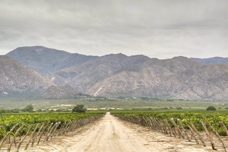 Salta