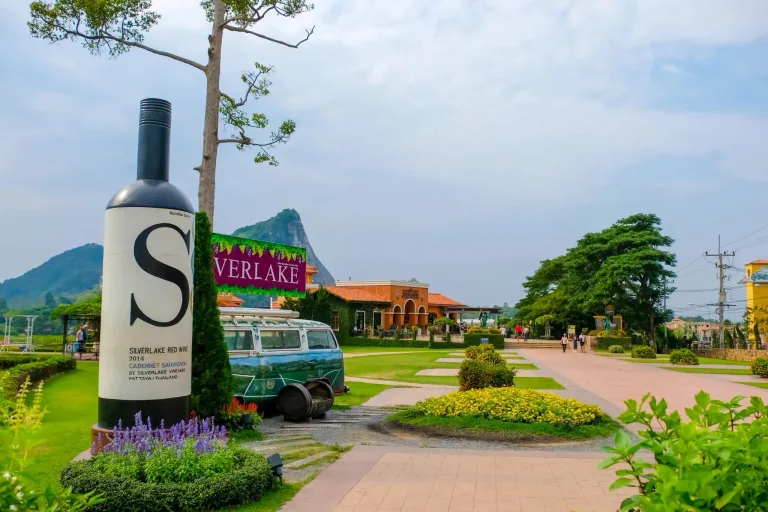 Pattaya vineyards in Chonburi Province, located near the coast at around 110 metres above sea level, where maritime influence shapes small scale wine production.